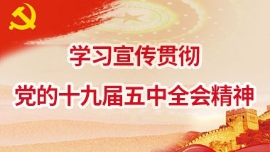 学习宣传贯彻党的十九届五中全会精神