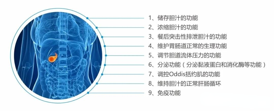 四川胆结石医院@中老年人：小心！您已进入胆结石高发人群行列！(图3)